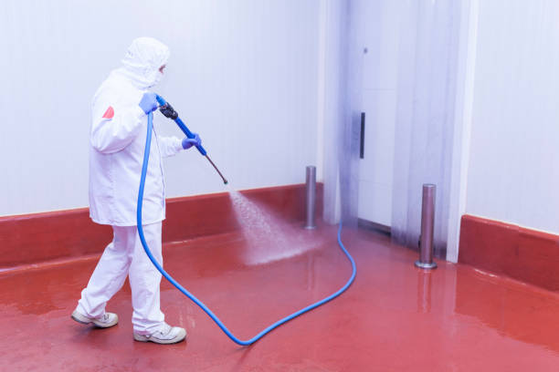 Best Warehouse Cleaning  in Bokeelia, FL